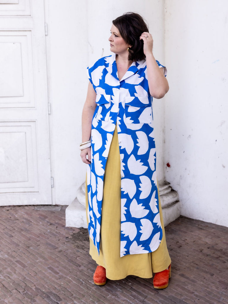 CLARA paper pattern ENGLISH